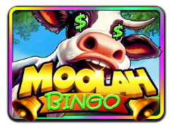 Moolah Bingo — Juwa777 game cover